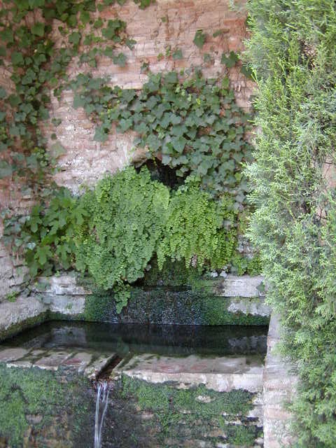 Granada Alhambra
